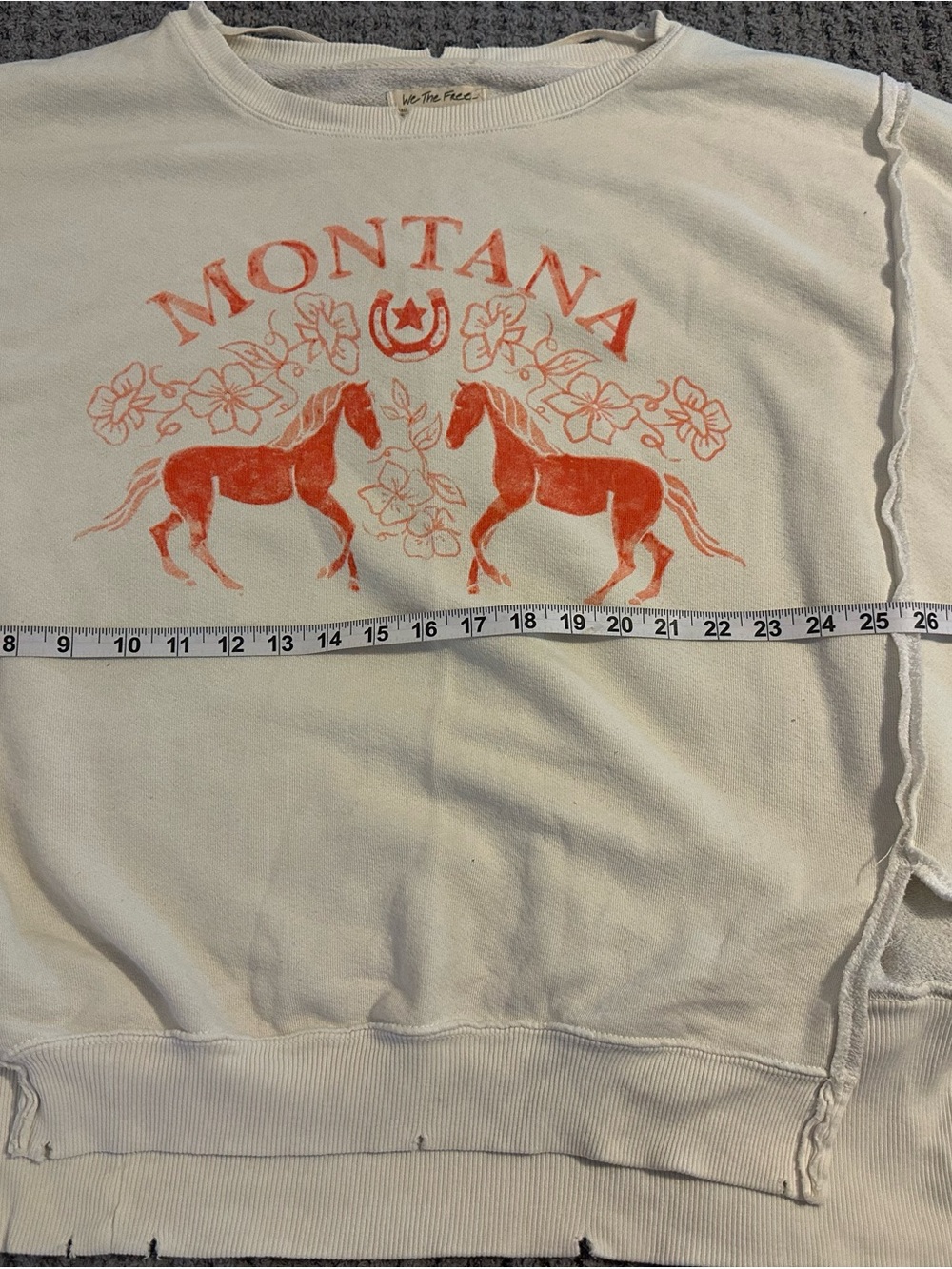 Free People Montana Graphic Sweatshirt Small *Note - Picture 4 of 8